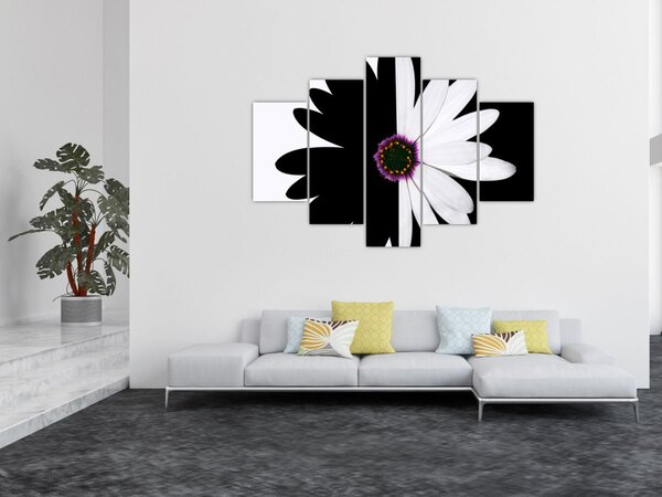 Tablou - Floare, alb- negru (150x105 cm)