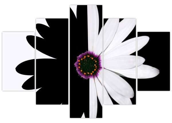 Tablou - Floare, alb- negru (150x105 cm)