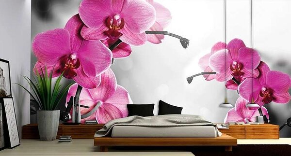 Tapet mural relaxant, crenguţe înflorite roz -1034 - Fototapet24