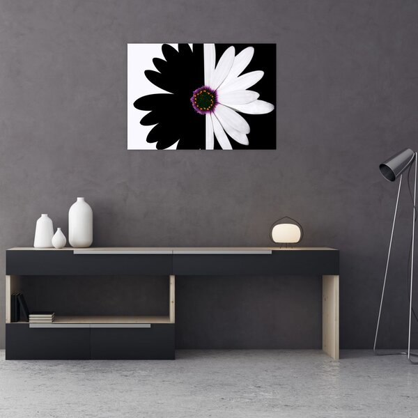 Tablou - Floare, alb- negru (70x50 cm)