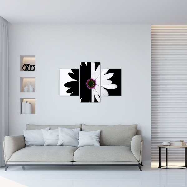 Tablou - Floare, alb- negru (90x60 cm)