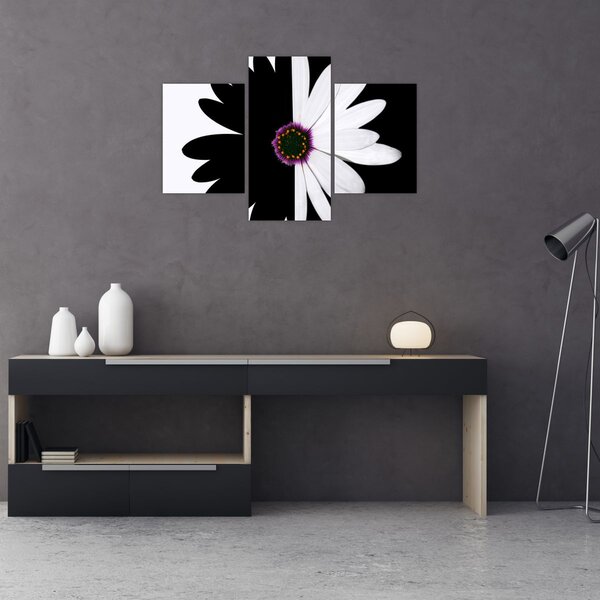 Tablou - Floare, alb- negru (90x60 cm)