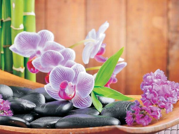 Tapet zen cu orhidee violet -115 - Fototapet24