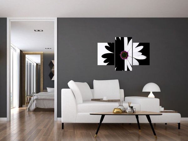 Tablou - Floare, alb- negru (90x60 cm)