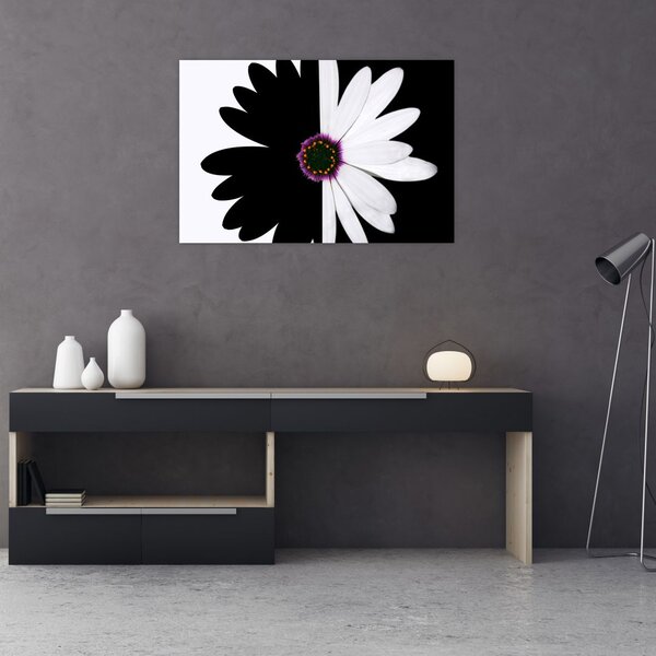 Tablou - Floare, alb- negru (90x60 cm)