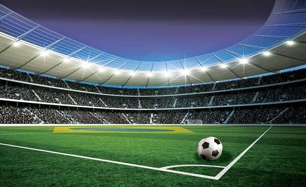 Fototapet Stadium - C04128 - Fototapet24.ro