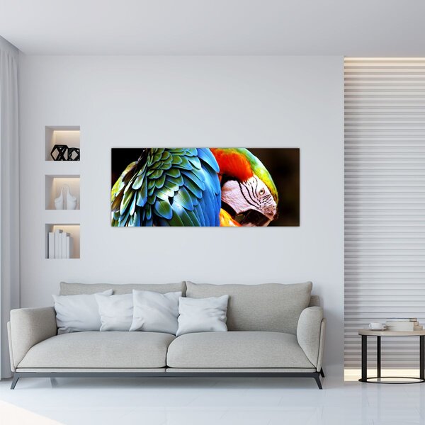 Tablou - Papagal (120x50 cm)