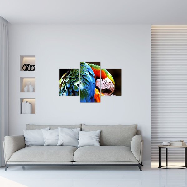 Tablou - Papagal (90x60 cm)
