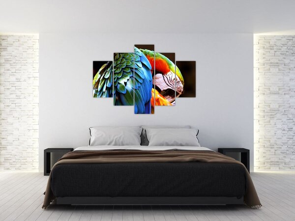 Tablou - Papagal (150x105 cm)
