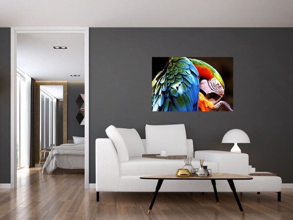 Tablou - Papagal (90x60 cm)