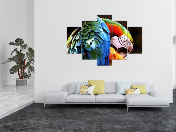 Tablou - Papagal (150x105 cm)