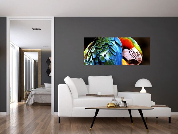 Tablou - Papagal (120x50 cm)