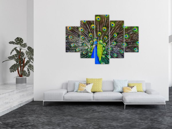 Tablou - Păun (150x105 cm)