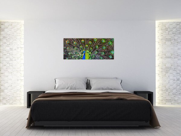 Tablou - Păun (120x50 cm)