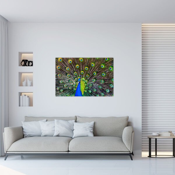 Tablou - Păun (90x60 cm)