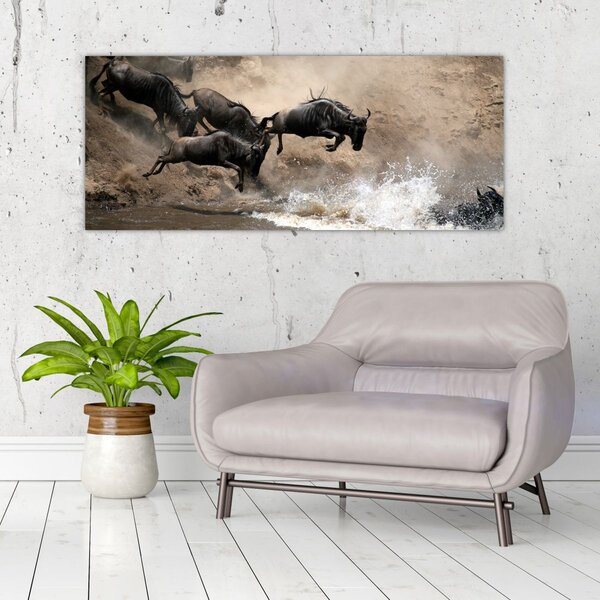 Tablou - Turmă de gnu (120x50 cm)