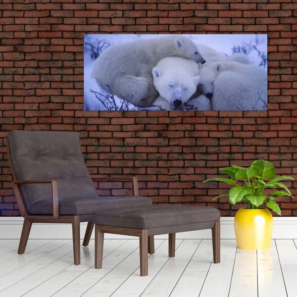 Tablou - Urși polari (120x50 cm)