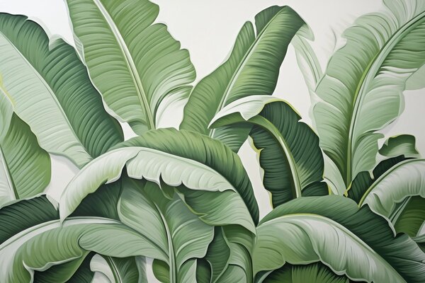 Tapet Frunze verzi de bananier tropical cu efect 3D, Fototapet Natură, Fototapet Foi de palmier, w09559 : Uwalls.ro