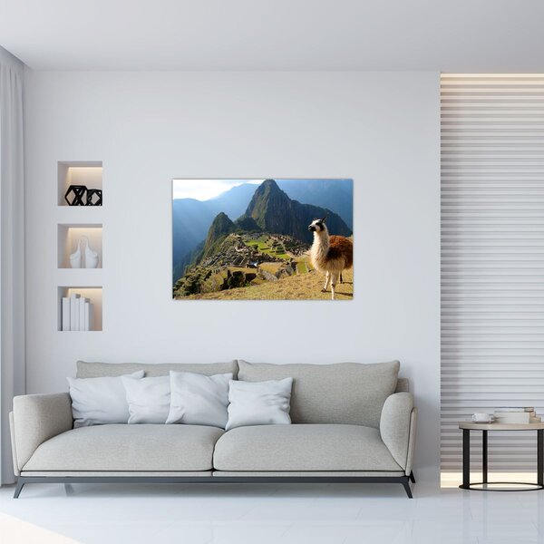 Tablou - Lama și Machu Picchu (90x60 cm)