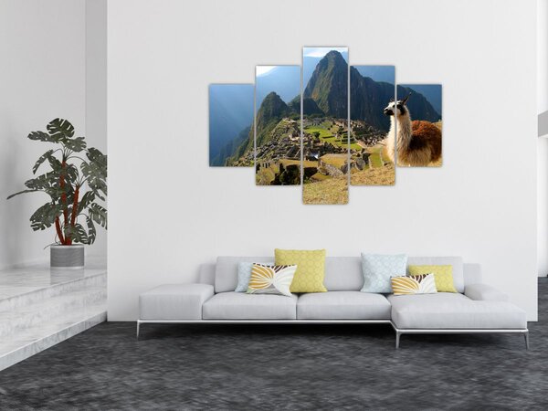 Tablou - Lama și Machu Picchu (150x105 cm)