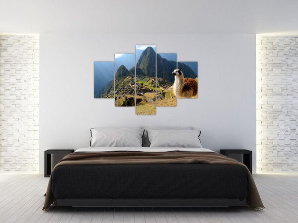 Tablou - Lama și Machu Picchu (150x105 cm)