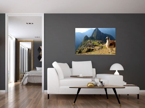 Tablou - Lama și Machu Picchu (90x60 cm)