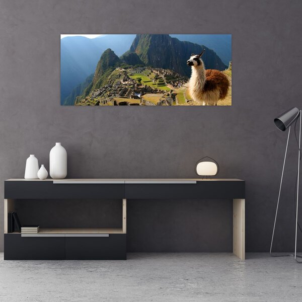 Tablou - Lama și Machu Picchu (120x50 cm)