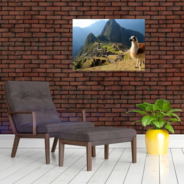 Tablou - Lama și Machu Picchu (70x50 cm)
