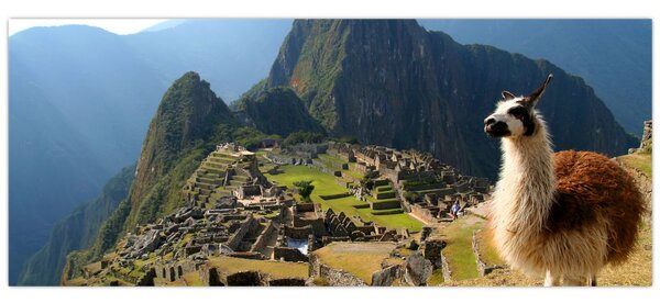 Tablou - Lama și Machu Picchu (120x50 cm)
