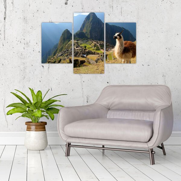 Tablou - Lama și Machu Picchu (90x60 cm)