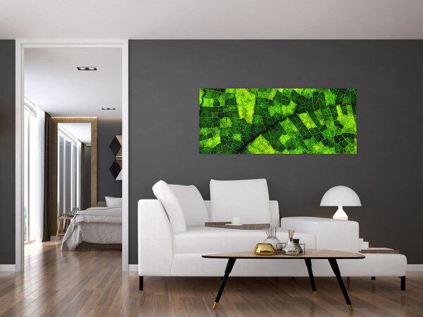 Tablou - Detaliu frunze (120x50 cm)