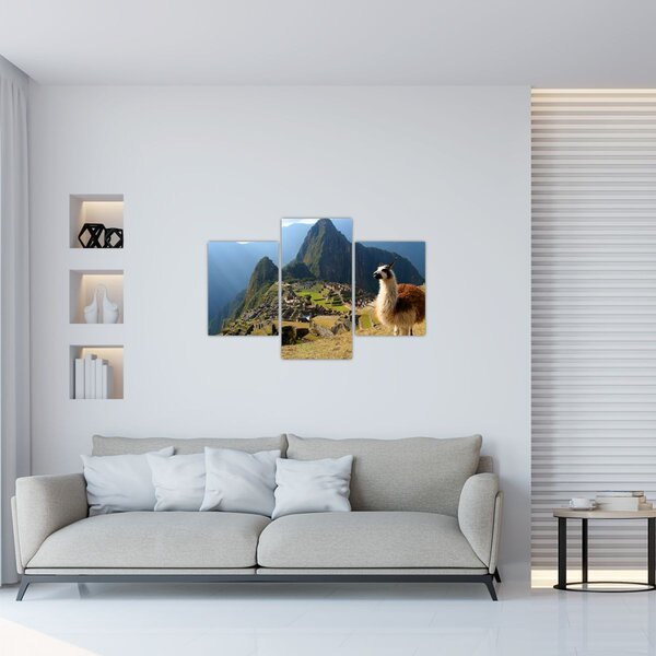 Tablou - Lama și Machu Picchu (90x60 cm)