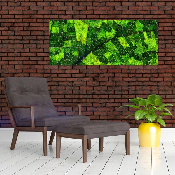 Tablou - Detaliu frunze (120x50 cm)