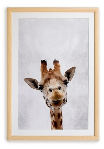 Tablou cu ramă pentru perete Surdic Giraffe, 30 x 40 cm