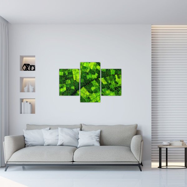 Tablou - Detaliu frunze (90x60 cm)