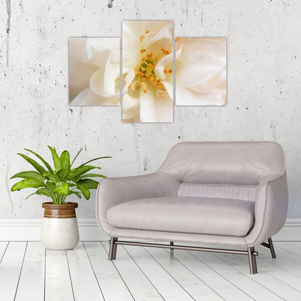 Tablou - Floare (90x60 cm)