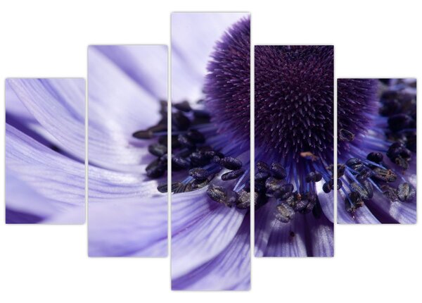 Tablou - Floare mov (150x105 cm)