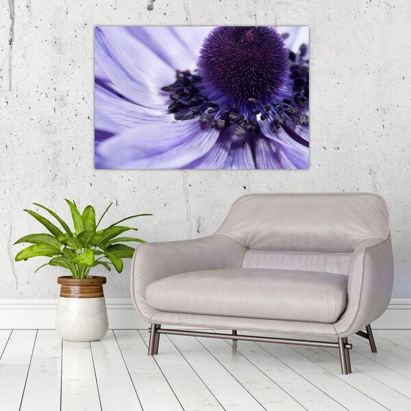 Tablou - Floare mov (90x60 cm)