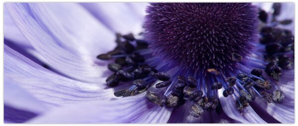 Tablou - Floare mov (120x50 cm)