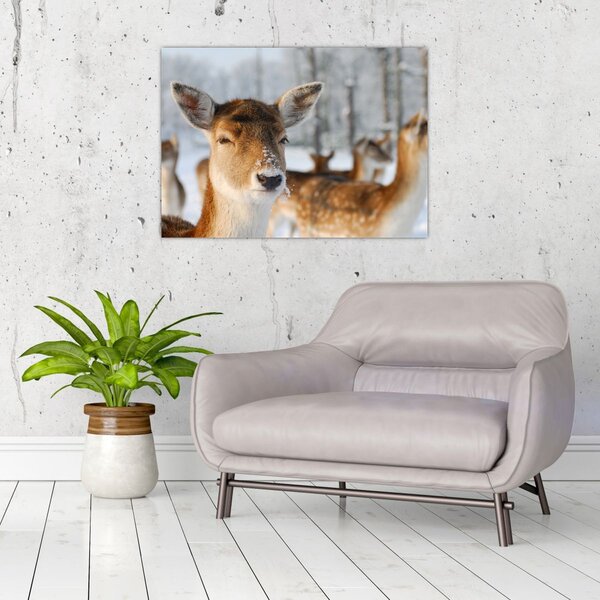 Tablou - Cerbi (70x50 cm)