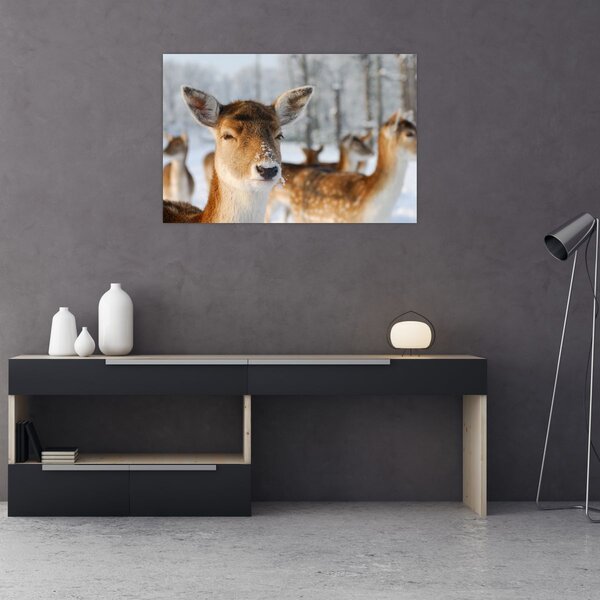 Tablou - Cerbi (90x60 cm)