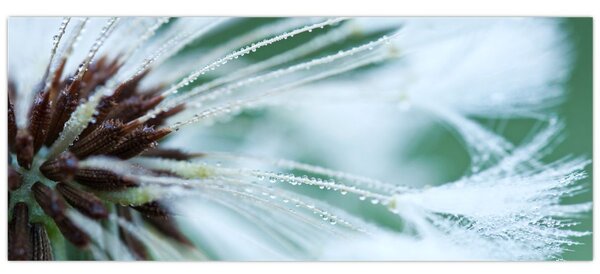 Tablou - Detaliu floare (120x50 cm)