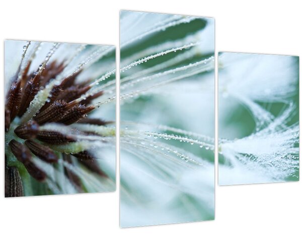 Tablou - Detaliu floare (90x60 cm)