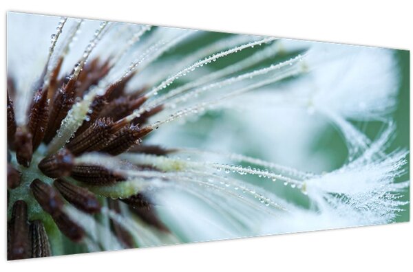 Tablou - Detaliu floare (120x50 cm)