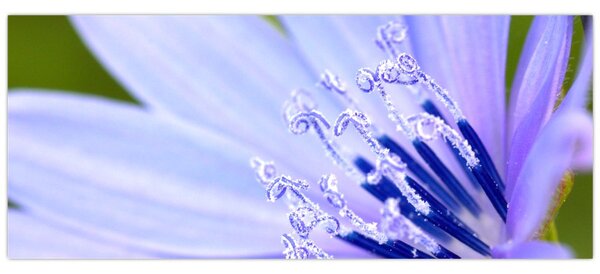 Tablou - Floare (120x50 cm)