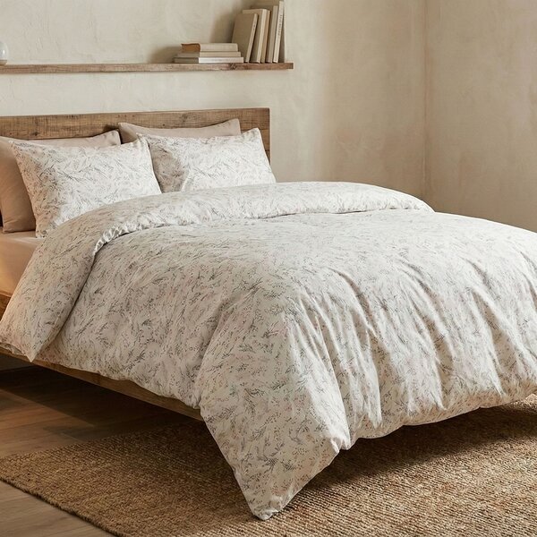Lenjerie pat Ranforce 100% Cotton Pro (RCP55) – RALEX PUCIOASA