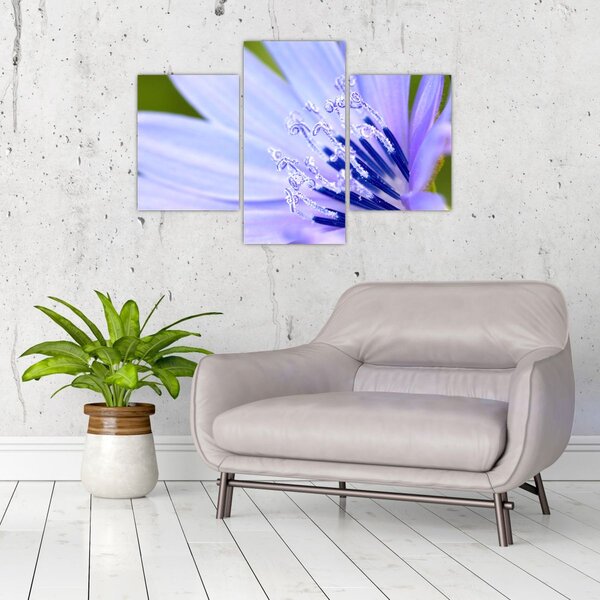 Tablou - Floare (90x60 cm)