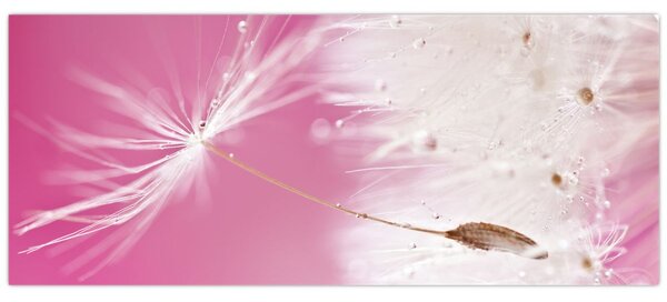 Tablou - Floare macro (120x50 cm)