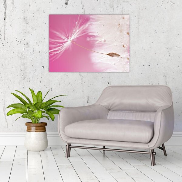 Tablou - Floare macro (70x50 cm)