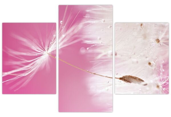 Tablou - Floare macro (90x60 cm)